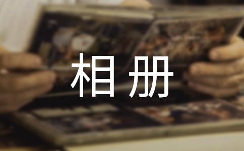 那本相冊作文