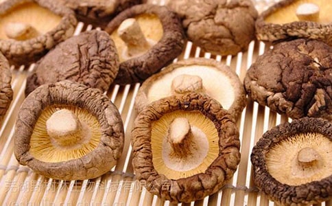 �㹽���~������