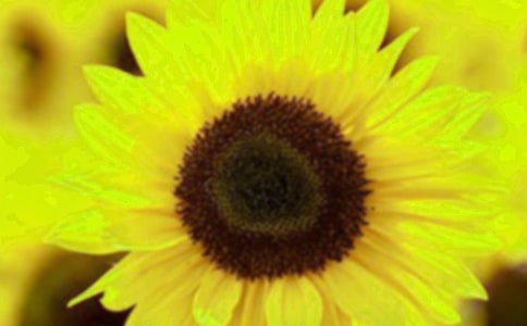 ���տ������\����15ƪ��