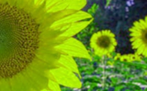 ���տ�����400�օR��[15ƪ]