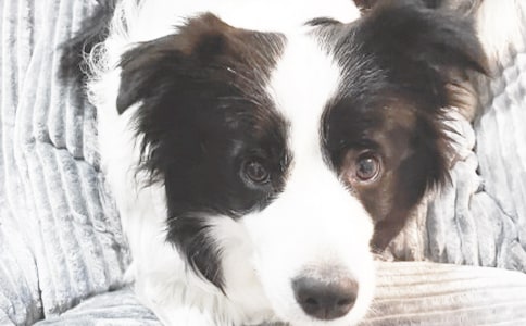 С���X�X2�x���