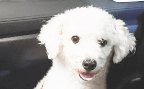 �����T��С��������300�օR��6ƪ