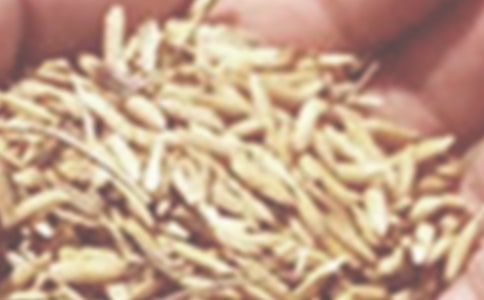 С����ù���ķ��δ�ʩ