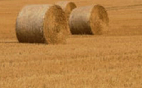 �NС�����ģ����x15ƪ��