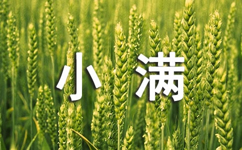 小滿節(jié)氣的詩句