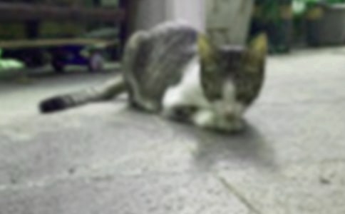 �����x��С؈��(y��u)�����ĺϼ���ƪ