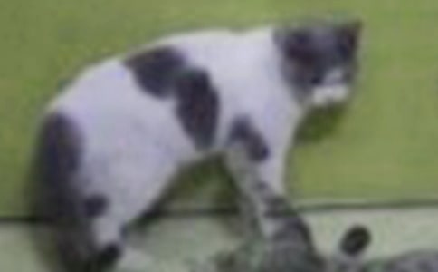 �茑С؈�ă�(y��u)������400��