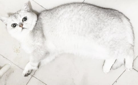 ����Ʒ��С؈��(y��u)������300�ֺϼ�5ƪ