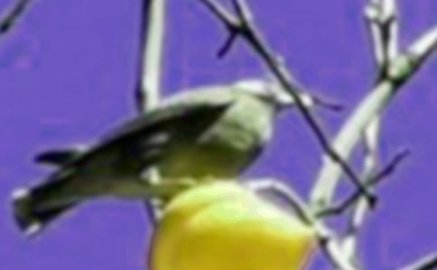 ���o(h��)С�B���D��Ԓ�����T��