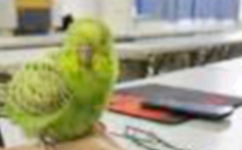 �܂���С�B����