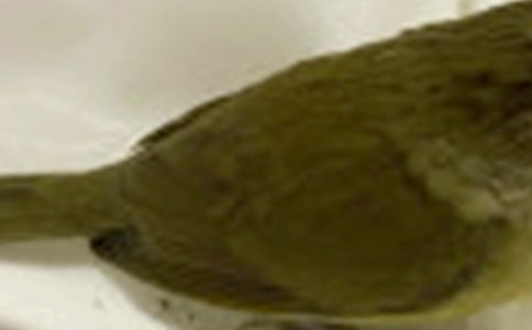 �܂���С�B���D��Ԓ��(y��u)�㡾15ƪ��