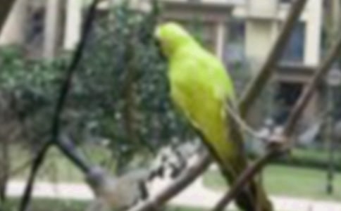 С�B������