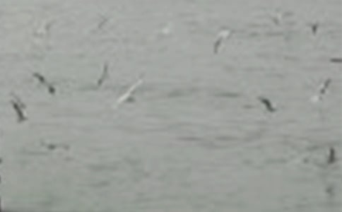 ���wС�B(ni��o)���D��(xi��)Ԓ�؂�15ƪ