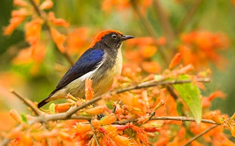 �Һ�С�B�Č�(du��)Ԓ����