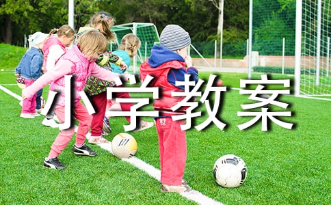 小學(xué)教案檢查總結(jié)(通用15篇)