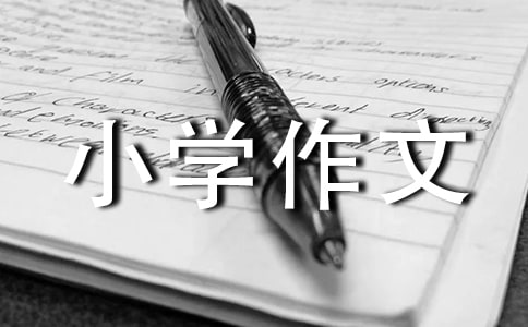 ����С�W(xu��)���Č�������