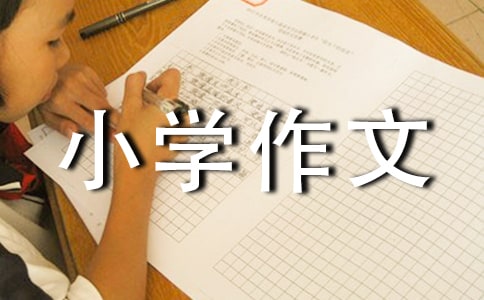 �P(gu��n)�����g(sh��)�n��С�W(xu��)����50��