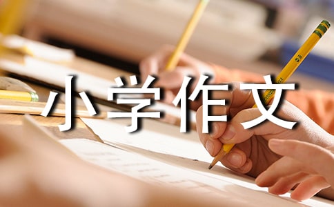 �����ϡ��Ҿ����һ����С�W(xu��)����