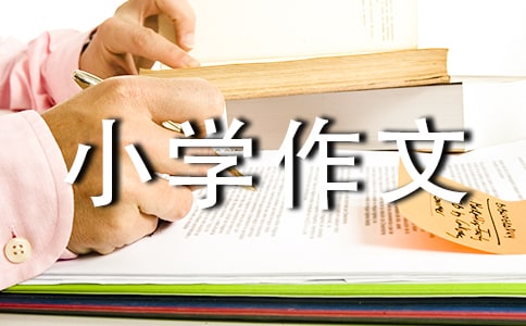 �����T��������С�W(xu��)����3ƪ