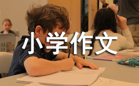 我的增肥計(jì)劃小學(xué)作文