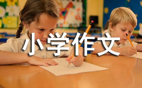 �o(h��)���Є�(d��ng)С�W(xu��)����