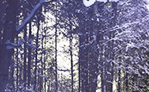 小雪節(jié)氣的詩句