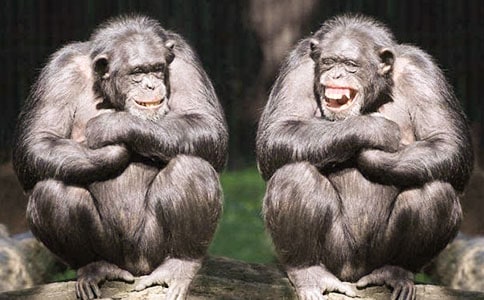 ��l������Ҏ(gu��)�t�������ɌW(xu��)��(x��)