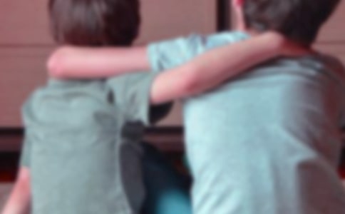 九月九日憶山東兄弟的意思-九月九日憶山東兄弟賞析