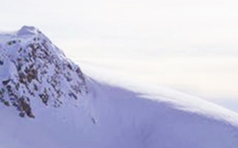 ����ѩɽ����15ƪ���]��