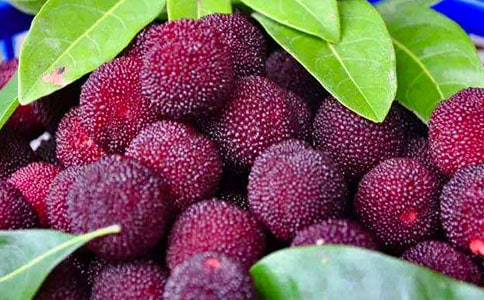 Ʒ��÷����