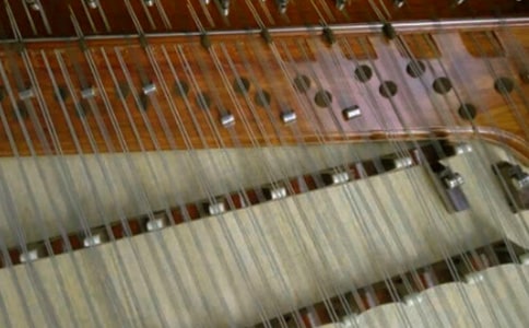 那兒飄來悠揚琴聲作文