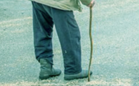 ����?sh��)����?/></p>
<h2>����?sh��)����?</h2>
<p>���������ǂ�(g��)�صص������r(n��ng)��һ݅���ڄ����������Һ����ό�(sh��)��������һ��(g��)��(m��ng)�����ҟo(w��)���g��׽������</p><p>�����r(sh��)���ƻذ���ǰ�������������q���������µ��Ұl(f��)�F(xi��n)�����ϼ��r(n��ng)��������ӵĴ���һ��һ��(g��)�j�����������M(m��n)����������r(n��ng)�����������������߲˵Ȳſϻؼ����������ֿ����(g��)С�L(f��ng)�����������Ʊ��Ͽ���һ������������L(f��ng) (t��ng)���x(ch��ng)�Q��������������L(f��ng)��ζ�����������T(m��n)��һ�K��ʯ�^�Ͽ�����æµ�Ġ��������̡���������������X(ju��)��Ұ�ľ���������Ǖr(sh��)�������뮔(d��ng)һ���͠���һ�ӵ��r(n��ng)��</p><p>�������Ǡ������V������횺úÌW(xu��)��(x��)���߳�ȥ�ŕ�(hu��)�Ђ�(g��)���õ�ǰ�������õ�δ��(l��i)����ɵ������ (t��ng)�������f(shu��)��߀��ȥ����l(f��)չ������Ҳ����(d��ng)�](m��i)���Ļ����r(n��ng)�������mȻ���f(shu��)�Լ�С�O�O����x�_(k��i)���l(xi��ng)����������(du��)�_���S���صğ��(��i)�B����q�׃����Ҷ��ܿ�����(l��i)��</p><p>��������ÿ���������������������������\�������ǵ��������ȥ��һ·�ϓu�^���X���������~�����˵������?sh��)��۾������Ҹ���Ц�����q�狌��Ҋ(ji��n)������һ�ӣ��H�H����������������?sh��)��ֹ��?j��)����?y��n)��L(zh��ng)�������µظɻ��ԭ�����ֲ����(sh��)Ƥ�����O��Ҳ���᲻���x�_(k��i)�������������G���͵��߲��L(zh��ng)��(sh��)�O��������Ц����ԭ��(l��i)�o���u(m��i)��(g��)�Ãr(ji��)�X(qi��n)�Ǡ���?sh��)ĉ?m��ng)��</p><p>�������،�(du��)���r(n��ng)��(h��)��(l��i)�f(shu��)�ǂ�(g��)�����������Ԡ���������ҕ�@Ƭ������������ڵ����������������˳ÙC(j��)͵��Ҫ����Ĺ����ɴ�ֱ�����ڵ���߅��������С���Ӻ��l(w��i)�Լ��Đ�(��i)�����һ���������S�κ��ˁ�(l��i)?y��)v�y�����v��ҹ���������Ӵ�܊��(l��i)�}�_����������������������һ��һ��Ų��(d��ng)�_�����z�����ĹϺò��������ĵؕ�(hu��)����(hu��)׌�ˁy�����ְ����۠�����׌�����˼ҿ�ȥ��Ϣ������(l��i)픰���������(ji��n)�Q��ͬ���������˽K�������(g��)�k�����I���Y��o�����ڵ��^�ϴһ��(g��)С��������(zhu��n)��������Ϣ���������d�úϲ��n����</p><p>����һ��(g��)�L(f��ng)�꽻�ӵ�ҹ����������ȥС������Ȼ��Ҋ(ji��n)����?sh��)�С����߀�����������㏽�������M(j��n)ȥ���p�p���_(k��i)�T(m��n)��������|������һ��������ǽ岻������ˮ������䡢����߀�����(d��ng)��С�x(ch��ng)��������ô�������������˼��@��(g��)����(hu��)ȥ�����أ����s�o��һ�������������������S (t��ng)�����ҵĿ�ǻ������һ���Ӿͳ���(l��i)���������ҵ��X�����f(shu��)���e�������ӝh���������ڿ���������ɶ�ÿ������������@���֛](m��i)���ˁ�(l��i)͵������������ֵĕr(sh��)���������Ȑ�(��i)���f(shu��)���Һ�֪��������һ�𿴲��������Һ͠������������������f(shu��)������������L(zh��ng)�ýY(ji��)��(sh��)������(sh��)�϶�������@���ۂ��Ҹ�׃�⾰�ĺÕr(sh��)�����Ŷ������?sh��)ĉ?m��ng)�Ǹ�ԣ��(m��ng)��</p><p>�����þ����L(zh��ng)���ċ��ڰ��\(y��n)���׵�`�r(sh��)����Ť�����_�������u(m��i)�˹ϵ��X(qi��n)�o�ċ�ȫ�������ί�������������وA�����ĸ�ԣ��(m��ng)��</p><p>�������q���꣬�Һ�С��������g���^��ˣ��һ��С�����Һ�����һ��(g��)��С���c(di��n)���͛](m��i)���ˠ����e����ţ�S����ǪN�ؼҺ������������Rһͨ��ԭ��(l��i)ţ�S���f�ںܺõ��B(y��ng)�����@��һ��(l��i)���I(y��ng)�B(y��ng)�ɷֱ��҂��Ɖ�������Ҫ���擽������������ρ�(l��i)ʹ����������������(l��)�������µ���߀����؟(z��)�֠���С�⣬������֪���������˽o�ċ𿴲������߲˵�������డ���ܾ�һ����������ـ�ⲻ���ϼ����K�ڰ���ס˼������ҺͰְֻؼ������҆�(w��n)���������������Љ�(m��ng)�](m��i)���������а�������?sh��)ĉ?m��ng)����ϣ���ۂ��ҵ�����Խ��(l��i)Խ���������ѵطN�á���Ц������Ժ�ӵ�ƽ�o��</p><p>��������?sh��)ĉ?m��ng)���ǷN�������������ش���һ݅�ӽ������泯�S�������������(��i)���������؄ڄ�(d��ng)��׌�����ĺ�ˮ������ﻯ���������@��(g��)�������Ǉ�(gu��)����(qi��ng)������?sh��)ĉ?m��ng)�������˵ĉ�(m��ng)�������������ڄڵ��p���T�������õ���������׃��ؚ�F��</p><p>������������옷(l��)�����飬Ī�^(gu��)�ڞ�������^�����ό�(sh��)�ͽ��Ġ��������㺩��Ġ�������׃���������ĉ�(m��ng)����ǧ�f(w��n)��(g��)�����˵ĉ�(m��ng)��</p><h2>����?sh��)����?</h2>
<p>����������糿��������Ů��߀δ���_(k��i)���F֮ǰ�������һ�wС���������ā�(l��i)��һƬ�f�ڵ�����ɢ�l(f��)�����������������������һ��(g��)�˲�����r(n��ng)��</p><p>���������}ӛ</p><p>��������һ��(g��)�r(n��ng)����ƽ���ĳ�����ƽ�������������Ƭ�f�������׺�һ�o(w��)������������ȫ����ؔ(c��i)������Ƭ�����B(y��ng)�������ļ���</p><p>�������꣬�ְְ��ҽ��o�l(xi��ng)�µĠ������B(y��ng)�� �Һ���Ĵ�������?ch��)����­h(hu��n)������(ji��n)ª���߷����^�?sh��)��FƤ���ˎׂ�(g��)�������g���(y��ng)�����M(j��n)�����(d��ng)�r(sh��)�������������˿���ô�k�����ְֺܿ����ˣ�ֻ����һ�䣺���ú� (t��ng)Ԓ(hu��)�������c(di��n)�c(di��n)�^�������I�˰������M(j��n)�ݳ�������������е����Ҿo�o���������M(j��n)������������һ�������ķ����������ėl�L(zh��ng)�Σ���߅�����_(t��i)����ѷe��һ�B�B�Ĳ�������ϣ��������y���¶ǵĘ��ӣ�������ο���f(shu��)����ȥ���Ў����I(m��i)�óԵ��������ƶ��Ƕ����c(di��n)�c(di��n)�^���㆖(w��n)������Ҫȥ������������f(shu��)Ҫ������d���c(di��n)�c(di��n)�^�f(shu��)����</p><p>�������������̻؁�(l��i)���������](m��i)���_�������̹�Ȼ�o��?gu��)��?hu��)��(l��i)���ִ������'�z�^����һ߅����һ߅Ŀ���D(zhu��n)���Ķ�������������İ��y�[�ز����������Ц�����̴Ȑ�(��i)�������ҵ��^��</p><p>�����ڶ������ϣ��B(ni��o)��߀�](m��i)�Q�����������̾��ѽ�(j��ng)�������(d��n)��砵��µ�ȥ��������β��һ�Ӹ�����������������������̰ѵ�����÷��M(j��n)���(d��n)���������ؼң�������������������߀�](m��i)����æ��̫�(y��ng)�������������̽K�ڿ�Ъ�������һؼҳ���ˆ����Ҹ��d���������ص���������ȥ�o�҂�����l������ȥ�������������߅�����Ŀ���СС���X���벻���ף�������ʲô��ôϲ�g�ǉK�������@��(g��)��(w��n)�}�����(l��i)��ȥ߀���Ҳ�������ֱ�����̽����M(j��n)ȥ���������������������������̽��҂��M(j��n)ȥ�������������?sh��)����Сɽ�Ƶĵ���������?l��i)�����ゃ�ȳԣ��Ұ��@Щ���������������ҳ������������s�z���](m��i)�г���͵���˼���Ҳ�֪���e(cu��)��վ��������̶��������@���f(shu��)�������̺͠���?sh��)ȕ?hu��)ȥ�ɻ������ڼ�����������š�������</p><p>����һ��һ��Ĵ����ﶬ�����ڠ����������f���g�L(zh��ng)�����������ˌW(xu��)��������r(sh��)�ǰ�ֻ��(hu��)�l(f��)����ڠ����������f���g�ҝu�u������һ�N��΢����P(gu��n)ϵ�������L(zh��ng)���������ǲ�ħ�_(k��i)ʼ��������������l(f��)������(qi��ng)�ѵĠ�������ħ��ĥ�Ĵ����������ְֲ�������ǰ�ǘӴ�æ������(j��ng)���؁�(l��i)���������������҅s���е��X(ju��)�Ġ���Խ��(l��i)Խ̓���ˣ��ְ֋�����������𡢲�����ĸ�����յĴ�æ�˂��^һ�ξ���һ����������(du��)�������齹�]�ı���׌�ҟo(w��)�����ܵ��F(tu��n)�A��ϲ�����ְ֌�(du��)�����[�m�˲��������V��ֻ����ͨ�ĺ퇵�l(f��)�ף�������Ĭ���Z(y��)����Ĭ֮��Ġ�����(du��)���M(m��n)���ӵ����f(shu��)����Ҫȥ���￴����͸�^(gu��)��(r��n)���p���ҿ������ս������w�Ġ������ְ�?j��n)v����ȥ�������G���͵ĵ��Ƚoؚ���r(n��ng)�����ˎ׷����C(j��)�������ֿ�Ҫ�����ˡ������ƺ����������Z(y��)��һꇿ��L(f��ng)����(l��i)��������ĺ͵����Ė|�u������������һ�̾�Ҫ�εض��𡣠����ΡΡ���D(zhu��n)�^(gu��)���f(shu��)�������ҵ��z�^�Á�(l��i)�����ﶼ�L(zh��ng)�s���ˡ����ְֲ�ͬ���f(shu��)������(hu��)ȥ���ݣ������@��(hu��)�������������ǵõ���݅���ˡ������L(f��ng)���ڠ����(j��ng)��ɣ��Ę����ԭ��(l��i)��������֪�������Ĳ�����ͨ�ĺ��׶��ǲ���֮�Y��������θ�����ְ�ͬ���˿��Ǡ����K߀�Ǜ](m��i)����Ը������ħ�p�����|�w�ћ](m��i)�������z�^�������������Ѡ������M(j��n)�˴��t(y��)Ժ������_(k��i)ʼ݆������������</p><p>���������Ҷ����\(ch��ng)�����������\��ס�ҵĠ��������K߀�Ǜ](m��i)�ܾ��^(gu��)��ħ����ԭ����������������x�_(k��i)��������һ݅�ӵ��f�����x�_(k��i)���҂����ڠ���?sh��)��`�������M(m��n)�˽��S�ĵ�������صļZʳ���r(n��ng)��һ����׷�������۵Ľ�ɫ׌��ֹ��ס������������������ϡ���𠔠��f(shu��)�^(gu��)��һ��Ԓ(hu��)��</p><p>�����ǉK�������@݅�ӷN����õ�һ�K�����������B(y��ng)�������@��(g��)�Ұ�����</p><p>��������������һ��׌�����ף��f�����r(n��ng)��һ����ؔ(c��i)���������|(zh��)�l���l(f��)չ�w�ٵ��������ӛסһ��(g��)�r(n��ng)��������f�ڡ�</p><h2>����?sh��)����?</h2>
<p>������������(j��ng)�ǂ�(g��)�ÿp���������·��Ǵ������ܚgӭ�����ļ�Ҫ���·�����һ��(g��)�ҵ��ľ��Ǡ�����</p><p>�������ˠ���Ҫ�Y(ji��)������g���s�Ҳ������m����Ȼ�����ֿ�������ע��������һ��ȥ���e�����·��r(sh��)�����������ǂ�(g��)����Ҳ�����ҵ����������̺ܿ����������·������J(r��n)��������������Ȼ�·�������˳�ɫ���������Ҳ���e(cu��)�����������̱�޽o�ˠ�����</p><p>�����޽o������������һֱ�����ÿp�������ֲ�������Ů��һ���������Ǡ���������������ѣ��p������������̵��·�һֱ�Ǵ�����õ��������ܐ�(��i)����������Ҳ�����</p><p>����һ�괺����������Ȼͻ�l(f��)�������Ҫ�_(k��i)С�u(m��i)�������̛](m��i)�f(shu��)ʲô��������һ��(g��)���������������˿p�x�C(j��)���_(k��i)����С�u(m��i)����</p><p>��������ܼt����̫������̫���̺ܸ��d���s����������Ę�ϵı����������s���ǁG��ʲô�Ƶ���������������һ���M(j��n)���g�r(sh��)������żȻ��Ҋ(ji��n)�˷��ڽ�����ò��w���Ŀp�x�C(j��)��������һ�����Ȼ�����Լ��ѽ�(j��ng)����](m��i)���^(gu��)�@�p�x�C(j��)�����������Ȼ����ʲô�Ƶ����s�oȥ���������ҵ���һ�K�ϵȲ����������ڿp�x�C(j��)ǰæ������(l��i)�����̲�֪��ʲô�r(sh��)��վ�����T(m��n)���������@���΢΢Ц����</p><p>��������һ�괺�죬�����Ѳ��ڿp�x�C(j��)ǰæµ�����@�����������d�^��һ�����磬���������L(zh��ng)��������ɫ���(y��ng)���������̵��^����ůů�ģ��������ܵ��]���������@�r(sh��)�����o���ĵ������^(gu��)��(l��i)����������������һֻ�����ÿ������ϴ�������Ĺĵġ����������ϴ��A��Ҹ�����p���p�p����ס�����̵��۾�����������һ�@����������һЦ�˳���(l��i)�����f(shu��)�����Y(ji��)���@ô����������߀��֪������᣿�����ٺٵ�Ц�������f(shu��)����Ҫ���む(g��)�|��������һ��(g��)���`�����f(shu��)�����·������������_(k��i)���������b����Ę����f(shu��)������֪�����c(di��n)����������Ц���������_(k��i)�ǂ�(g��)���ϴ���������һ����t���·�����ʽ���������������·���(l��i)���(y��ng)���¿���������һ��(hu��)�������������·������^�p�p�ؿ�������߅���˵ļ���ϡ�������������������������(l��i)���f�X(ju��)�����ۣ�����(du��)���f(shu��)�����������̽Y(ji��)������������(du��)�����S����һ��(g��)�Z����(d��ng)�Ҳ������ÿp�r(sh��)�������߀���ٞ�������������ôՈ(q��ng)�����Ǖr(sh��)�����f��(��i)�㡭��</p><p>�������(l��i)���˶����ˣ��u�u�ؠ���?sh��)��۾�Ҳ������ô�������������Ҫ�����ϻ��R���ܿ�������Ҳ�������p�r(sh��)���������������f��(��i)���Ŀp�x�C(j��)�����fϲ�g�o�ǂ�(g��)����(��i)���������������Ǯ��������������ҕr(sh��)��Ҳ׃�ˡ����������·����������������ע�����D(zhu��n)�Ƶ�������������ÿ���r(n��ng)æ�r(sh��)��(ji��)���ҼҶ���Ҫ�ô����Ĵ��������Ǡ������ƽ�r(sh��)�e������(l��i)���״��ӣ����ʴ��ӵ��ó���(l��i)�����������м�(x��)����������֨��֨�µ�.�����S����һ�l�l�o�ܵľ�(xi��n)·���o�o���N�ڴ�����������һ��(g��)��(g��)�r(n��ng)�ô��������������������x�ׂ�(g��)Ư���Ľo����������ʣ�µľ���?x��n)ɉK�X(qi��n)һ��(g��)�u(m��i)��ȥ����</p><p>�����ٺ��(l��i)���ҳ����ˣ��όW(xu��)������?y��n)��ϵ��Ǽ��ތW(xu��)У������Ҫ��(zh��n)�䱻���������@�(xi��ng)�΄�(w��)���䵽�ˠ������ϡ����������ֿp�����mȻ������Ů���ǰ��`�������������ҿp�ı��Ӆs�����ι̵����w���������ҿp�ı��������X(ju��)�ܜ�ů��</p><p>���������x���꼉(j��)�ĕr(sh��)�������ó����������̾ͱ��е�����ȥ��С���������ʣ���Һ͠����������_(k��i)������С�����пՕr(sh��)��Ҳ��(hu��)����錢����������Ȼÿ����һ��������ÿ��(d��ng)�r(n��ng)æ�r(sh��)��(ji��)�r(sh��)�������ӣ������Еr(sh��)Ҳ��(hu��)��?y��n)�ѝ�ӻ��·�����׌�����a(b��)�������a(b��)��֮��Q����(hu��)���Ƶڶ������@���Ǡ���?sh��)ĸ߳�֮̎�?/p><p>���������f(shu��)���Ϳp�x�C(j��)�ѽ�(j��ng)�ֲ��_(k��i)����</p><p>�������S�����@�ӣ��p�x�C(j��)�o������(��i)�����o�����ؑ����o������Ԓ(hu��)�������S����](m��i)�пp�x�C(j��)���@һ�ж���(hu��)��ͬ����</p><p>�����F(xi��n)�ڼ���߀�������_(t��i)�o�ˠ����ܶ�ܶ�Ŀp�x�C(j��)�������f(shu��)�������ҵ�ȫ����</p><h2>����?sh��)����?</h2>
<p>����������(ji��)���ְ��_(k��i)��܇(ch��)�������Һ͋���һ����ϼҽo���Œ�Ĺ����̽��96�q���g�Ġ�����</p><p>�����˕r(sh��)���ϼҵ���ǰ�ݺ��_(k��i)�M(m��n)�˽�N�N���Ͳ˻�������A�s��������Ϣ��Ƕ���(l��i)�����(sh��)�۾G���~������������յ��ϵ���ݾG���͵����f(w��n)��һ�����C(j��)�����ľ������ɠ����sԽ��(l��i)Խ���ˣ���������ǰ�������������������ȣ���һ�p�ն��o(w��)����۾�ľȻ�ؿ����҂���</p><p>�����ùú͹à�Ц������(l��i)ӭ���҂����ùð�������������ǰ��Ȼ���츽�ڠ�������߅�������Ƶĺ������¶¶�؁�(l��i)�ˡ����ɠ�����Ȼ�����ؿ����҂���Ę�ϛ](m��i)��һ�c(di��n)������</p><p>�����ùø��V�ң����������ѽ�(j��ng) (t��ng)��Ҋ(ji��n)�����۾�Ҳ�����Ͽ���Ҋ(ji��n)����˼�S�����R(sh��)���ѽ�(j��ng)ģ������������������(d��ng)��������ס�����ֲڵ����(sh��)Ƥһ�ӵ��֕r(sh��)���Ҹ��X(ju��)����������ͻȻ�p΢�����һ�����@�r(sh��)���ù����ڠ�����߅��������@��¶¶��¶¶�؁�(l��i)�����ˡ�����������һ��(g��)���`��Ŭ�������۾������ң�������¶¶ѽ���ҵČOŮ��(l��i)�����ˡ����S�������МIˮ�������������˳���(l��i)�������@һĻ���Һ͋���������ס��������(l��i)�����ְքt�����I���^(gu��)Ęȥ�����̿��@�ӵĈ�(ch��ng)����</p><p>����������ֻ���Ұְֺ͹ùÃɂ�(g��)���ӡ�����o(j��)�����Ժ�����һֱס�ڹùü����ɹù�����B(y��ng)���� (t��ng)�ù��f(shu��)�������F(xi��n)�ڎ׺��l(shu��)Ҳ���J(r��n)�R(sh��)������������Ū�e(cu��)���[��ЦԒ(hu��)����һ�Σ�һ��(g��)�������g����Ů����(l��i)�o�ù����޻���������ס�����־þò�����߀��ͣ���f(shu��)����¶¶����؁�(l��i)��������������Ů��Ū�úܲ�����˼��</p><p>�����ù�߀�f(shu��)�������׺�ÿ����춼Ҫ��߶��¶¶�����f(shu��)Ҫ����¶¶�����@Щ�������r(sh��)����(hu��)�ùùõ��֙C(j��)�o�Ҵ��Ԓ(hu��)���ɟo(w��)Փ�����Ԓ(hu��)����ô��������sһ�c(di��n)Ҳ (t��ng)��Ҋ(ji��n)��ÿ��(d��ng)�@�r(sh��)���������ӹùõ��֙C(j��)����������ǳ������һ��Ҫ��ù�ȥ�I(m��i)һ��(g��)��һ�c(di��n)���֙C(j��)��</p><p>�����������OŮ���o�OŮ���Ԓ(hu��)�� (t��ng)��Ҋ(ji��n)�OŮ�����������ͳ���һ��(g��)������������������ż���ֹ��������l(shu��)Ҳ (t��ng)���������f(shu��)ʲô��</p><p>������һ߅ (t��ng)���ùõ����f(shu��)��һ߅����������؟(z��)���Լ��@Щ��](m��i)�г����ĕr(sh��)�g���ϼ��㠔�������ϼ���Ϥ��һ�У��t���ҵ�˼�w�����ˏ�ǰ��</p><p>����С�r(sh��)���������׃��@��W(xu��)��һЩӢ�Z(y��)���~���ǳ��d�^��׌�ϼҵ��H�݂����Ƀ������ҽo�������n���ùú͹à����ܸ������xӢ�Z(y��)���~��������?sh��)İl(f��)�����ǲ���(du��)���ұ�W(xu��)���ώ��Ŀښ����u(p��ng)�������@��(g��)�W(xu��)�����ý�������(l��i)�ц��~�x���˲��ܻؼҡ���Ԓ(hu��)���䣬��Ҷ�Ц������(l��i)�����Р���Ц�����_(k��i)�ģ���(g��)����ĺ�����</p><p>����С�r(sh��)�����Һ͠���һ��ȥ���L(f��ng)�H�����ҿ��������ߵ��������Ǖr(sh��)�����ɂ�(g��)����С�p�������l(xi��ng)�gС·��һ��һ�����������ܿ�͌�����˦�_(k��i)һ��ء��Ǖr(sh��)���ҿ����������Թ?f��n)����������ߵ�̫���������������ǴȐ?��i)��ЦЦ�������ܸ����ߵÿ���</p><p>����С�r(sh��)����ÿ�λ��ϼ�����������ϡ��һ���䌚һ�ӌ��Ҕ�?ji��n)ڑ������ÿ�?d��ng)�@��(g��)�r(sh��)�����Ҷ���(hu��)�M����Ó���đѱ����Ҳ�ϲ�g�����ϵĺ���ζ��Ҳ��ϲ�g���ôֲڵ������ҵ��֡�</p><p>�����r(sh��)�g�^(gu��)�������һ��������18�q�Ĵ�����ˡ����L(zh��ng)�����������sԽ��(l��i)Խ���ˡ����F(xi��n)���ѽ�(j��ng) (t��ng)��Ҋ(ji��n)�ҵĚgЦ�Z(y��)������Ҋ(ji��n)�ұı���������Ӱ�ˡ�</p><p>�����뵽�@Щ�������е����θи�ʢ��С�r(sh��)���Ҳ��������](m��i)�кú��㠔�����F(xi��n)�����L(zh��ng)�������ɷ��ص�.�W(xu��)��(x��)�΄�(w��)�։�����������׌�қ](m��i)�и���ĕr(sh��)�g���ϼ�����������������F(xi��n)�ڵĘ��������������絶����</p><p>�������^(gu��)߀���������Ҿ�Ҫ�߿������ȸ߿��Y(ji��)������һ����(hu��)���ϼҺúõ����㠔������?y��n)���������������Щ�S�ڶ����ġ��Ґ�(��i)�㡱��ֻ��������������ĸ����</p><p>�����c(di��n)�u(p��ng)</p><p>�����@��һƪ���֘㌍(sh��)���s�������������ɢ�������](m��i)���A�����o�����](m��i)�и���Č�(xi��)��������Ҳ�](m��i)�����S�������ǘӣ�������?sh��)��������L�á��ߴ��ϡ�������ֻ���挍(sh��)�٬F(xi��n)���Լ����ϼ�̽�H֮�H���Լ�ͯ��r(sh��)�c������̎��һЩ�����(ch��ng)������ȫ�������(d��ng)�����Ԑ�(��i)�������x�Tȫ�������ߌ�(du��)�����ǝ������飬����ÿһ��(g��)�x�߶��ܸ��ܵõ���</p><h2>����?sh��)����?</h2>
<p>������������һ�����ѣ����~�p�M(m��n)�������ÿ�궼��(hu��)�Y(ji��)��һ�����Ϻ�ɫ�Ĵ����ѡ�</p><p>����ÿ����ů���_(k��i)�ĕr(sh��)��(ji��)�����ꏝ���������f֦�Ͼ͕�(hu��)ð��һ��(g��)��(g��)΢΢���t��С�Gѿ��Ȼ�������u�u׃����һƬƬ������С�G�~���������÷·�Ϳ��һ�������@��(g��)�r(sh��)��������������һ�����ǳ�M(m��n)�����ľGɫ�͕�(hu��)�����������������������������@��(g��)�r(sh��)������������L(zh��ng)�úܿ���ֻ��ׂ�(g��)���ڵĕr(sh��)�g�͌�����p�ò�͸һ�z�(y��ng)�������@�r(sh��)Ҳ�����r(n��ng)æ�r(sh��)��(ji��)������ÿ���µظ��Nǰ����(hu��)�����Ѽ��[�ϲ��������Σ���һ���_�h��������ջ���������ƣ�v�؏ĵ���؁�(l��i)�r(sh��)�������Ĳ��ѽ�(j��ng)������������һ������Ą�����������ھG���[�d�����L(f��ng)��������Ѽ��ºȃ�������ǵĜز裬�Ƕ�ô������������</p><p>�������ⲻ�L(zh��ng)���ן������ܿ�͵���(l��i)�����@�r(sh��)����������(hu��)�����Ѽ��[��һ����������ȥ��Ϣ���]���۾������Ƶ�?f��)u�����ġ���(j��)���ȡ���������(y��ng)�ƻ�������C�������u���ƽ����������Ѽ��s��һƬꎛ���ż��߀��������L(f��ng)���^(gu��)�����@���������e���ж�����ˣ�</p><p>�������������������~���û��ۣ��s�Ծ���؜������Ѽ�����һ�c(di��n)Ҳ�����裬׌�˿���ȥʮ�������</p><p>����������(du��)����߀�](m��i)�ᵽ���Ѽ��µĵĴ�ˮ���أ��@��һ��һ�׸ߵĴ��ո�������ʢ�˰��ˮ��������Ͷ�M(j��n)ȥ�ˎװ�ˮ�����B(y��ng)���S���r�����q���ױ����L(zh��ng)�M(m��n)����̦���Еr(sh��)��һƬ�����~��(hu��)�p�p�����M(j��n)�������ˮ��������һ��(hu��)�������¾;۝M(m��n)��С�r��</p><p>�������Ĳ��ã��������Ͼ��_(k��i)���������c(di��n)�c(di��n)�����ѻ������S���S��.��������(l��i)�˲���С���x(ch��ng)�o�����ڷۡ�</p><p>��������ǰ�������Ѿͳ�������һ�����ؒ���֦�~�g���������A�A������ʮ�ִT��Ƥ��һ�ӻ�˪��ʮ���T������������ժ�״�������һ�����Ҳ����Ո(q��ng)���ӂ���(l��i)��ժ�����������߅ժ߅�ԣ���ȫ���ډ����������Ѽ��������ȵ���(l��i)�괺�죬������׃������������������</p><p>��������ζ���������ː�(��i)�������x(ch��ng)Ҳ��(��i)���������ÿ�����ѳ���r(sh��)���͕�(hu��)��һЩ��(x��)�����С�x(ch��ng)�����˵������Ѽ������w��(l��i)�w�wȥ���r(sh��)��ͣ����ĳһ���A�L�L�Ĵ�����������˱������֭��������˱���^(gu��)���������Ͳ����ǈA�ཱུ��ˣ������͕�(hu��)�T�ɸ�Ƥ��Ҳ�Ͳ����ٳ������������@�����Ѷ�����ʮ�ׂ�(g��)�����������ѽY(ji��)���|(zh��)���ֺÔ�(sh��)���ֶ࣬��������ʹС���x(ch��ng)������(l��i)����������˂�Ҳ��Ȼ���������ѳ���</p><p>��������Ҳ��(hu��)ժһЩ��С�������^(gu��)�˵�����ι�oţ�����oţҲ�L�L��ζ������Ҳ��(hu��)�����������חl�L(zh��ng)�L(zh��ng)�����q���ʷʵ��r��o�u�������o����?c��)������ӠI(y��ng)�B(y��ng)����׌�������ׂ�(g��)�����Еr(sh��)����Щ���ɴ���������������(hu��)����ժ���˺�������������͸�����͕�(hu��)���ڵ��ϡ�ˮ���������������̡�������ˮ����r(sh��)���͕�(hu��)�������q���r��һ������ɢ���M(j��n)ˮ�׵�ʯ�K�p϶��^(gu��)�Ϻ�һ��(hu��)�������Ÿ��������γ���(l��i)���������M(j��n)ˮ�������������С�������ش����������M(j��n)ˮ�������������������������������ʧ�ˣ����S��׌���q���r���o���˰���</p><p>���� (t��ng)�����f(shu��)���@����������ʮ����ǰ���w���r(sh��)�N���@Ժ��������_(k��i)ʼ���겢���Y(ji��)������ֻ�L(zh��ng)��һ��ï�ܵ����~�����ȽY(ji��)���ѕr(sh��)��Ҳֻ�ǽY(ji��)һЩСĴָ�״��С����������(j��ng)�^(gu��)�@ô����ġ��M(j��n)���������Ѷ��Y(ji��)�É���������</p><p>�����������ի@�ļ���(ji��)�������ҵ����^���Sţÿ�춼Ҫ�µظɻ�����׌���Ըɵ��ݕ�(hu��)׌�������ϠI(y��ng)�B(y��ng)�����ǣ������͕�(hu��)��砵��������Ѽ��ϵ������~���M(j��n)ţȦ���ʳ��ι�o���^���Sţ������ţƽ�r(sh��)���ٳԵ����r���~�ӣ�ÿ���@�r(sh��)��������(hu��)���d������У����^���M(j��n)ʳ��������̻�������(l��i)��</p><p>�����@�����ѽo��������(l��i)�˺ܶ��g��(l��)�c�������Ǡ���?sh��)Č�ؐ��Ҳ�Ǡ����(sh��)����?/p><h2>����?sh��)����?</h2>
<p>��������С�W(xu��)�r(sh��)���ļ��ﵽ�W(xu��)У��·����ÿ�춼��(hu��)��(j��ng)�^(gu��)һ��(g��)��(b��o)��ͤ��ͤ���ￂ��һ��(g��)��������΢Ц������Ц�ݾ���N�����(y��ng)����</p><p>�����@λ���˾��ǲ̠�����ÿ��ͬ�⹫��(l��i)�I(m��i)��(b��o)�����Ҿ͕�(hu��)�����_���������_(t��i)�������۾������⹫�c�̠���Մ�졣�������e��������������ǰ���ǎ��ō��µĈ�(b��o)����������һ�����v�v�Ĳ������扦�ϒ�����ʵ��s־���ذ���һ�m��Ⱦ��һЩ�f��(sh��)�Зl���ɵدB�������档��߅���ҕ�C(j��)���ް����س����������컨���ϵ���Ⱥ���������������^�ϵ��y�z����һ��һ���ġ���(b��o)��ͤ���T(m��n)ǰ�������R�R�طN��һ�Ż��ݡ��Еr(sh��)�����˽o�⹫�c(di��n)��һ֦����Ū���Ҵ��˂�(g��)���������z�͹�����Ц���T(m��n)�ڵĻ���Ҳ�����l�l�c(di��n)�^��</p><p>�������(l��i)���xС�W(xu��)���꼉(j��)�ˣ�ÿ�콛(j��ng)�^(gu��)��(b��o)��ͤ������(hu��)����ͤǰ��һȺ�W(xu��)�����J(r��n)�濴��(sh��)������ˮ��С�W(xu��)����Ҳ��һ�е�����(j��ng)�^(gu��)ͤ�ӕr(sh��)���̠������ǘ�(l��)�Ǻǵ؆�(w��n)����Ҫ����(sh��)������������ֻ�Õ�(sh��)���ˎ��£������_(k��i)������Ҳ�����ף�ƽ�r(sh��)��(��i)����(sh��)���ң���ʲôһ���@��Ͳ��ҿ����������Ǔ�(d��n)���Լ�����̫��������(hu��)��ؓ(f��)�̠���?sh��)ğ���ɣ���?l��i) (t��ng)ͬ�W(xu��)�f(shu��)���ǂ�(g��)��(b��o)��ͤ�ǂ�(g��)�O���x��(sh��)�ĵط����̠���ƽ�����ڳ�������ֻҪ�ЌW(xu��)����(l��i)����(sh��)�����Ͳ��������������������ͳ��l(f��)���ׂ͎�(g��)��鲻�s��ͬ��ͤ��һֱ���������n����������������x�_(k��i)����(du��)�҂��@Ⱥ��(l��i)����(sh��)�����I(m��i)��(sh��)�ĺ������̠����ā�(l��i)���ܟ�����߀��������L(f��ng)�Ȍ�(du��)���҂����������׌�҂�������ˮ�o�҂�����Ц����ؿ����҂������@�ￂ��(hu��)�Ўױ��҂�ϲ�g�x���s־�������҂���(l��)����ƣ��ֻ����һ�c(di��n)�҂��ܲ�����һ��(g��)��(du��)�҂��@ô�õ����ˣ���ʲô���u(m��i)Щ�e��ͤ���ﳣ�u(m��i)������أ���Щ��Ϟ�ʲô���ǲ��ں��^��</p><p>�����Еr(sh��)���ɿ�(j��)�����ҵ�`�ɿ�(j��)���ò���ô�����̠���һ��������������ܲ����s������(l��i)��ο�ң�ֻ�Ǹ�����Ͷ��س����˾������������{(di��o)�ĳ�ǻ��׌���̿����������ǵ��ˮ�C(j��)Ҳ�����ˡ�һ��ð����(g��)���ݡ��f(shu��)��(l��i)Ҳ���������@һЦ�������еĞ���Ҳ��ɢ�������ҡ���ī�ߺڡ�����Ҳ�W(xu��)��������Ū���ݵĘ������ڻ�����N���˾G����</p><p>������һ�����ҵ���(b��o)��ͤ���I(m��i)����(hu��)����Ц���f(shu��)����������֪���ゃ�뿴�@�N��(sh��)������(hu��)���c(di��n)�����õ���������Ҫ���x�Õ�(sh��)�����������Z(y��)���p�����D(zhu��n)����һ������Ĺ�����Ͷ���ҵ��ĳ����������ӌӹ��ԡ��Ҽt��Ę����֪�f(shu��)ʲô����Ҳ����̧�^�����ǜغ͵�Ŀ�����s�o�ӱ��Ƶ����_(k��i)�����Еr(sh��)���Ұl(f��)�F(xi��n)�̠���Ҳ�ڿ���(sh��)�������������ϻ��R���[��������������һ����(sh��)����������һ֦�P��һ߅��һ߅�ڕ�(sh��)�ό�(xi��)��(xi��)��(hu��)��(hu��)�������������~�������ØO�������������Ă�(g��)��©���Ƶġ������ﲻ����һ�z�M����һ��(g��)�����όW(xu��)����������(sh��)�s�����@λ��ϡ֮�����������һ��Ҋ(ji��n)���������(sh��)�͹P��ժ�����R�������c(di��n)�Գ����f(shu��)�������ӣ�Ҫ�����x��(sh��)������Ҫ���������^��(l��i)���ˣ������xҲ�x���M(j��n)��������������΢Ц��Ę����������֮ǰ�����ؿ���(sh��)�Ę������ƶ��Ƕ����c(di��n)���c(di��n)�^���ܾ�֮���X����߀����(f��)�ʬF(xi��n)���x��(sh��)�Į�(hu��)����</p><p>������������꼉(j��)��һ��ɣ��Ұl(f��)�F(xi��n)һ��t��Ĉ�(b��o)��ͤͻȻ�P(gu��n)�T(m��n)�ˣ�һ�B�P(gu��n)�˃ɂ�(g��)��֮����������һֱ�ܠ��������(l��i)ͤ���N����Ӈ�棬�ǂ�(g��)������Ȼ��?y��n)��X��Ѫ�c���L(zh��ng)�o����������һ�������Ǵ����������ˬ�ʵ�Ц�������������^�����Ӳ���һ����һ�еĺö��W(xu��)�������������(l��i)���̠���?sh��)����E���ˈ�(b��o)���^�l�����������ҕ�_(t��i)���@λ���H�ɾ����Ϡ������Є�(d��ng)�˲�֪��������</p><p>����ÿ������̠����������ﶼӿ��(d��ng)���м����Ҳ���(hu��)��ӛ�����Ą�(l��)�҂��x��(sh��)������(d��o)�҂��x�Õ�(sh��)��׌�҂��u�u�B(y��ng)���x��(sh��)����(x��)�T�����������Є�(d��ng)��׌�҂��W(xu��)��(hu��)�˟��(��i)��������(l��)�^�������̠���ֻ��һ��(g��)��ͨ������ֻ�����������ܼ��������������҂���ȼ���ߣ����҂�����(l��i)һ����ů�����Ĺ�â��һֱ�����҂����L(zh��ng)��·��</p><h2>����?sh��)����?</h2>
<p>��������(j��ng)�����o���x�^(gu��)ʒǬ�����¡�ߺ�ȡ�����(xi��)�����ϱ������С��Ľ��u(m��i)���F(xi��n)����Ҫ�٬F(xi��n)�����Ҽ����ǅ^(q��)�Ͻ��������ߺ����</p><p>�������������ǅ^(q��)��һ�l�Ͻ����L(zh��ng)����������f(shu��)��С�r(sh��)��ӡ������������Ơ����UƷ������ (t��ng)�����˹ġ��������������ˡ�һ��������������Ơ���?sh��)�ߺ���������ˡ������Ʋ��r���E���ӣ�������������(l��i)?y��)Q���@��Ʊ�ӣ����������҂�С�����Л](m��i)�ЏUƷ��Ҫȥ���^���Ǖr(sh��)���ҼҶ�����ԣ�����������˂��D�����صĽ��������һ�l�ֵ�С��������ϲ�g���÷ŌW(xu��)����������������ٵĕr(sh��)�g������̎��������(ch��ng)ʰ�Ơ����u(m��i)���X(qi��n)���Խ��o���L(zh��ng)�����a(b��)�N������Ҳ��������һЩ�Լ��㻨�����I(m��i)��(hu��)��(sh��)�����I(m��i)С��ʳ�ԡ�</p><p>����������҂����ǅ^(q��)���Ͻֹ�������Ȼ�и��N���ӵ�ߺ������Щ���ƓP(y��ng)����������ζ����Щ����ɣ��ɳ��������Щ����������Ĵ�͸���������Ҿ͸���ҁ�(l��i)��һ��һ��(g��)�u(m��i)�������Ϡ�����</p><p>�����Ҳ�֪������ʲô��ʲô����֮��Ҷ��H��ؽ��������������o��ӡ��������������(j��ng)�L(f��ng)˪��Ę�ϣ����M(m��n)������İ��y���l�l���y������һ�����۵����£���ֻ���ݵĲ���С�۾������������������W�q������Ĺ�â������������С������ô��ÿһ��ָ�^���ֵú��񏝲��^(gu��)��(l��i)����Ƥ�w���Ͱ͵������c(di��n)�����(sh��)Ƥ����׌�����Ĳ��̵�����ÿһ�ο����ı����ϰ����ǻ����c����ƽ����һֱ���������ǽo��90�ȾϹ�һ����������һ��С�����͕�(hu��)���£�ÿ��һ��������ΣΣ��׌���Բ�ס��Ҫȥ���������·������������h�hʎʎ������һ��L(f��ng)���ܰ�������һ�ӡ����Ǿ����@��һ��(g��)�ˣ��o(w��)Փ�ǰ���߀��ҹ�������ܹ��L(f��ng)߀���������ڴ��С���ÿһ��(g��)�����㶼�ܲ���(j��ng)��ؿ����������u(m��i)������܇(ch��)����Ӱ����Ў�����(ji��n)���Ĳ������� (t��ng)�����Ľ��u(m��i)������׌�����ܵ�`�� (t��ng)���Ϡ���?sh��)�����ÿ�?d��ng)�ߵ�������߅һ (t��ng)�������Ǻܴ������H������������������h(yu��n)����߀���ܺ������� (t��ng)�����Ľ��u(m��i)���@����̫�����������Ǿ��̲�ס�؆�(w��n)������ʲô���������V���f(shu��)�@�����Ĵ�͸�������u(m��i)���˾��������γ��@��(g��)��ɫ������׌�e�����h(yu��n)��֪��������(l��i)�u(m��i)�|����</p><p>����ס�ڴ�ɽ�����ԭ���һЩ������������Ҳ���Ԃ��ú��h(yu��n)���@����[֮���Ϡ�����һ��(g��)�غ����؄e��(��i)�Ƀ���һ��(g��)������ǰ��ֻ�������ﲻ�̿�������ô���࣬���ǅs�ā�(l��i)�](m��i)�Є�(d��ng)�^(gu��)Ҫȥ�I(m��i)���Ķ�������һ���ڋ����Ĳ�����(d��o)�º����T�����Ҳ��_(k��i)ʼ�Є�(d��ng)��ֻҊ(ji��n)�Ϡ����p�p�؆�(w��n)���������ҕ�(hu��)������һ�ӣ���С��������Ҫ�I(m��i)�����ǆ���Ҫ��߀��С��������ҲС���f(shu��)����С���Ϳ������������������_(k��i)ʼ�ðl(f��)����ó���һ��(g��)����С�������@���f(shu��)�����õģ�Ҫ��һ�c(di��n)߀�ǡ����������R�f(shu��)Ҫ��һ�c(di��n)��ֻҊ(ji��n)��Ц�[�[�ش��_(k��i)����Ͱ��Ҩ������Ķ���ˮ�����ϱ��м�(x��)��ϴһϴ��ʎһʎ����Ҩ���˰����۵Ķ��������Äeһ��(g��)ư���ݺݵؽo�Ҽ����˃ɴ��װ��ǣ�һ��(w��n)�r(ji��)�X(qi��n)�Ŷ��K��ë��������(w��n)�@�Ӊ򲻉����Ϡ���һ��(g��)�ŵ��f(shu��)���ˉ����������ߺ��f(shu��)����������ģ��Ժ��҂�����(l��i)�I(m��i)�״ΰ�����Ҳ�f(shu��)�mȻ�Ҳ��Ǻܐ�(��i)�Զ���������ֻҪһ�뵽�Ϡ���ÿ���ִ߽�����ô��������Ҳ��(hu��)��һ���I(m��i)һ����׌�����ٿ��Ԕ��c(di��n)�X(qi��n)��</p><p>�������Ժ������������Һ͋����䵽�ėl·�����҂������ܲ����Ҋ(ji��n)��������Ӱ���Ҿ͕�(hu��)�������ы���?zhu��n)����Ϡ�����Ȼ�����R�������������������Ϡ����ɸ��d��������׌�����h(yu��n)�옷(l��)��ȥ����?y��n)������ڄ����Ĉ?zh��)������B(t��i)������ظЄ�(d��ng)���Һ���ȫ������׌�Ҹ��X(ju��)�����������е�һ���֡�Ҳ������������D���������Ҹ�Ҫ�úõ،W(xu��)��(x��)���錢��(l��i)��(chu��ng)��һ��(g��)���õ�����l����ȥ����������Ҫ�҂����Ԯ��֮�ֵ��ˡ�</p><h2>����?sh��)����?</h2>
<p>����������һ��СС���������o�����F·��</p><p>����ӛ���Р���������������������F�@�������ߣ���Ҳ����������������</p><p>�����峿����Ұ��ɢ�l(f��)��������������Ϣ����֪���ă��w��(l��i)��������ͣЪ�ڠ���?sh��)��������ͣ����Ū�����?��ֻ�ɐ�(��i)�ĺ���С�ĵ��|����С���Ϛ����¶��������߅�z�أ�߅�����v�f�ڵ�֪�R(sh��)�����˿�������˿���ˮ���� ���[�����ܾ������� �����ܳԺ��x(ch��ng)���۷����ڷۡ�������߅ (t��ng)߅�������e�Ե����������ϸ������ڿ찡���@ô��͸ɻ���!���_(k��i)С����Ϡ����T����݆܇(ch��)·�^(gu��)������������Ц������һ�Ѻ�����һ��ˮ�������W�^(gu��)��������Щ�Sƣ���⣬������ǿ옷(l��)��</p><p>���������ǐ�(��i)���صġ�������(du��)���f(shu��)����̤������Ҫ��̤��ˮ���̤��(sh��)�Îױ���!���Ĵ_�������ڵ����(hu��)�؄e������z��؁�(l��i)Ҳ�؄e���š��F�@�·��L(zh��ng)�������ϰ��`��������һ����һ����һ����һ�������](m��i)���£�ԭ����(ji��n)Ӳ��������׃����ܛ����׌�Ҳ��ɵøЇ@��ԭ��(l��i)���ڄ�(d��ng)�ߵ��ˑB(t��i)����������!����?sh��)�����m����󣬸���(g��)��(l��i)��߀������׌�˾�ƣ���ߵ������՝u����͸���ƌӵ��(y��ng)���յ��ˠ���?sh��)������������~�^���߳��˴�εĺ���������һ̧�@�ӣ��������ڲ݅������]��(d��ng)���F�@�֌�����������֮�С���</p><p>���������˼ҵ�ú�tȼ����(l��i)�ˡ����ӝM(m��n)���������w��Ѩ�����h(yu��n)̎�������^��һֻ�S�Z���������������܇(ch��)��(l��i)�������������������^(gu��)�����Ǻ��˂��ϰ�����������ȥ���W�ĺ�ˮ�������������ɵ����������[���۵Ĳ��磬�M(m��n)���Ц��!</p><p>���������ի@�Ŀ��Ƕ������Gӯӯ�Ķ��ӎ���¶ˮ������һ����ǰ�����ס�ķ�������L(zh��ng)�L(zh��ng)�Ķ��vֱ�����ʡ���҇L��������������ٝ���ӵ���ζ���Һͽ�����̻��������ϝu�u����һ�Ѷ������������o�س�������Ę�ϝM(m��n)��Ц���������^(gu��)ȥ���Z���ˠ���?sh��)ğ����������������˃��w����������Ц��Խ�l(f��)�ϲ��n����!</p><p>���������ի@��`������������(hu��)��ø��������҂�����(l��i)�r(sh��)�����ѽ�(j��ng)�ĵ���؁�(l��i)����ѝ����մ��¶ˮ���~�^���������������ώ�������ζ�����ζ��������������r���߲ˣ����t�����Ϲ�����ˡ���������ë����һ�Ѻ����Ą�ժ���߲���ֳ�һЩ��(l��i)���Ը��ң����������@�Ͻo�_(k��i)С��Ġ�����ȥ���@�˽o����ҡ������Ҳ���Ը�ؑ�(y��ng)��������ཇ����������҂��Լ�ʣ�µľͲ����ˡ����������@������׌��Ҷ��L�L�r��!������ȥ�������؁�(l��i)���ǝM(m��n)�M(m��n)��ٝ���͸��x��߀�Ж|�����Ҹ�ʽ���ӵ����a(ch��n)��</p><p>�����x���꼉(j��)�r(sh��)���҂��ᵽ�˳������ְ֋����񠔠�һ�𵽳���ȥס���ɠ���Ӳ�ǷŲ����������������Ӷ������x�_(k��i)���ӡ��Еr(sh��)�ְֽӠ����M(j��n)������ס���ˎ�����������Ҫ��ȥ�����Ӳ������ס���������Ϳ������񲻶�������Z߶����������Ҳԓ�·N�ˡ��������ǡ����ڲܠI(y��ng)���ڝh�����ְ�֪���ֲ��^(gu��)������ֻ��������Ը���҆�(w��n)��������ʲô��ô������������ô���ټ��l(xi��ng)�����f����ֵ�����X(qi��n)�����ǸF�l(xi��ng)Ƨ������ʲô�ð�?���� (t��ng)���f(shu��)�����������@�������҂��ĸ����@���l(xi��ng)Ҳ���҂��ĸ����҂����������Լ��ĸ��������Լ��ı���!��</p><p>�����͠���һ��ȥ������������@������</p><p>�������衪�������`�Ļ�܇(ch��)�ڶ�߅��[���^(gu��)�������Ƶ�����������һ��(g��)���h(yu��n)Ҳ�v�����ͯԒ(hu��)�����@�^(gu��)һ��(g��)��(g��)��ʯ��������������Ȼ�⻬��������?y��n)�r(sh��)�����r(n��ng)���������@��ЪϢ��һ̧����������Ҋ(ji��n)���ǉK�������Ȼ������׃�^(gu��)���﹡�Pֱ���f��ïʢ��</p><p>�����(y��ng)���£���Ŀ���F�@�߸ߓ]�����������ڄ�(d��ng)�ߵ������͉�(m��ng)�롣�L(f��ng)��������Ұ�����R�������������纣�˰㷭�������(y��ng)��Ͷ����һ��(g��)��һ��(g��)�㌍(sh��)��(ji��n)�ε���Ӱ������ĬĬ�؈�(ji��n)�����@Ƭ�������������e��(d��ng)ԏ�����(du��)���صĐ�(��i)����</p><h2>����?sh��)����?</h2>
<p>���������x�_(k��i)��������ɂ�(g��)��������(sh��)���o���L(f��ng)��ֹ�������B(y��ng)���H���ڡ���������������w��(hu��)���@��Ԓ(hu��)���ǻ���������ʹ�������Ѻ�˺���ѷεğo(w��)�ܞ�����ÿÿҹ�����o�ĕr(sh��)����˼�w����ͣ������ǰ��������ǂ�(g��)���@��Ę���Ͽ��ǒ���΢΢��Ц���ڰ����g�ĺ��ӛ�����һ���Ĝ�ɣ���ā�(l��i)����������ӛ����?y��n)��ҵĉ?m��ng)�����h(yu��n)��ӳ�@����ģ����</p><p>������С�ĕr(sh��)�������V�ң��Ժ���������ܿ������ӂ��������L(zh��ng)������������������ο���Ǖr(sh��)����߀�ƶ��Ƕ����@һ�̣�ͬ�ӵ�Ԓ(hu��)�·��ֻ�ʎ�ڶ�߅���ۜI�ѽ�(j��ng)ģ����ҕ��(xi��n)����ô��(ji��n)�ε�һ��Ԓ(hu��)�����������ąs�����Ƿݟo(w��)˽���ւ���Đ�(��i)��ӛ���@�ݐ�(��i)��ӛ��������������c(di��n)�c(di��n)�εΣ���(��i)������İ��������o���v�Ĺ�������(��i)�Ǡ�������������Ļ�t����(��i)�Ǳ�����׷��r(sh��)������(du��)�ҵ�̻�o(h��)����(��i)�Ǡ�������p���f�o�������R�ăɽ��X(qi��n)����(��i)�Ǡ����������������O(p��ng)�����ҷŌW(xu��)����(��i)�Ǡ������е����ȿ��ڞ����(q��)�s���x(ch��ng)����(��i)��С�r(sh��)�򠔠��������^(gu��)��С����һ�c(di��n)�c(di��n)��һĻĻ���·����������</p><p>�������������Ǔ��еĕr(sh��)��֪����ϧ��ʧȥ�˲�֪��ʹ�ġ�����æ������࣬�r(sh��)�g�o���@Щ���ǽ�����������˲���o(w��)���ĕr(sh��)���҅s������Щ���^�Ċ^���|�����ܡ�߀ӛ����һĻ��߀ӛ�����㲵�Ę������Ҋ(ji��n)�ҵ���һ������Ц���������Щ΢΢���`�����ҵ�����������(d��ng)�ĜIˮ��M(m��n)�����Ę����ԭ��(l��i)�Լ�һֱ����̫�μ������μ��ķֲ�����X(qi��n)�c�H���������һֱ���Ԟ��Լ���Т��������Һ����˕r(sh��)�g���r(sh��)�g�������ң����ҏ��a(b��)��������һ�c(di��n)СС���P(gu��n)��(��i)��������������һ�z�������˿̵����`�_(k��i)ʼ��ʎ��һ�N��̓��һ�N�o(w��)����һ�N�o(w��)�����_(d��)�ğo(w��)�ܞ������������ˣ��K���̲�ס��˺���ѷεĿ޺����@�ӿ��ܕ�(hu��)�p�������Ƿ����ε���ʹ����(y��ng)�ɸ�����Ҳ����Ҋ(ji��n)���������H��(��i)�Ġ�������ӛ���Լ�����(j��ng)��(du��)���f(shu��)�^(gu��)�����L(zh��ng)�����Ҿ��������������F(xi��n)�ڌOŮ֪���e(cu��)�����������첻�ٽo�ҏ��a(b��)�ęC(j��)��(hu��)����o���ҳ�M(m��n)��(��i)�Ĝ�ܰͯ�꣬������Οo(w��)���ĕr(sh��)���҅s����������߅��</p><p>����˼����������������ÿһ���ҹ�����o�Լ����Ƕ��ڱ��C�����ؑ���Щ�������Ҹ�����(x��)�T��ÿ�λؼ����ȱ��M(j��n)��ķ��g����һ�������@�r(sh��)���㿂��(hu��)�f(shu��)�����������ǰ��OŮ�؁�(l��i)���������ļ�����ĺܜ�ů����ϲ�g�Ⱦ���ÿ�λؼҶ��o�㎧�c(di��n)�¾Ʋ����㿂���f(shu��)�����OŮ�I(m��i)����������������һ������һ�����OŮ�Ǖr(sh��)��ĺ��Ҹ�������İ�����ϲ�g����С��ʺ���һ������ͥԺ� (t��ng)���v�^(gu��)ȥ�Ĺ������v�����ĵĵط��ҕ�(hu��)����@�⣬�v�����d�ĵط����������Ǵ����Ę�����ҿ��Ǖ�(hu��)ɵɵ���Ҹ���Ц�����쵽������ϲ�g�����Ŀ�������ů�ͺ�ů�����@�r(sh��)���㿂������һ�ز���һ߅�Ȳ�һ߅ (t��ng)���v��������r�¡��ǰ������ѽ�(j��ng)�þÛ](m��i)�г�ȥ�D(zhu��n)�D(zhu��n)�ˣ�ÿ�������f(shu��)�Լ���o(j��)����߀�����Լ�����̤��(sh��)����ȥ����Ҳ��ȥ�ˣ�����������������Ը��o�҂��ퟩ���@��(g��)СС�Ĵ��f��ÿ�춼��(hu��)������u�u׃�ϵ���Ӱ����ɣ��M(m��n)�����Ę�a����s��������o(w��)˽�Đ�(��i)�o����ĺ��ӂ����@һ�̜I�����V���Ҳ���һ�c(di��n)�����I��������</p><p>�����o(w��)��(sh��)�����������ĵĆ�(w��n)�Լ����ҵ�Ŭ�������Ǟ���ʲô�����˽��X(qi��n)���������I(m��i)��(l��i)�\����ʳ�s�I(m��i)�������H�����Ĵֲ赭��������Ԏ���(l��i)��(d��ng)�˵����Ʌs���治���H�˵Ĝ�ܰԒ(hu��)�Z(y��)�������ԝM(m��n)����܏�(qi��ng)��̓�s�ģ���һ����s�l(f��)�F(xi��n)��ă�(n��i)���䌍(sh��)һֱ�ܿպܿ���</p><p>�����r(sh��)�g������������܉�������ܵĺܿ�ܿ��������еĵõ�ʧʧ��̫��̫������ʹ�ĵ�Ī�^(gu��)�������x�e����(j��ng)�v��ʧȥ��֪����ϧ��ʧȥ���H���ԟo(w��)��������F(xi��n)�ڵē���һ��Ҫ�ӱ���ϧ���Ժ��ÿһ���Ҷ���(hu��)�ӱ���ȥ��(��i)��߅��ÿһλ�H���������峿���(y��ng)�⣬�ҿ����ˠ���?sh��)�ЦĘ���Ҳ��ٹΣ���(y��n)�����P(gu��n)��(��i)һֱ������߅��</p><p>����ף�����еĠ��������̡��ְ֡������Ҹ����������҂��ل����������ˣ�</p><h2>����?sh��)����?0</h2>
<p>�������ҵ�ϥ�w�����Ѓ�̎�b���Ă�������ÿ��(d��ng)��һ���������͕�(hu��)����С�r(sh��)���Ƕο̿���ĵ��������͕�(hu��)�����ǂ�(g��)����ñ���Ϡ���......</p><p>�����������q�r(sh��)��һ��(g��)����������Ç�����һ�z�L(f��ng)Ҳ�](m��i)�����՚����������Ƶ����H�˂�?c��)���Ұ��������ֿ�?l��)���������������e��(l��i)�o(w��)�������ں�߅�Ĵ��(sh��)������������ʯ�^���M(m��n)�^�󺹵Ľ����Թ����