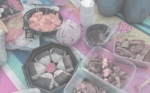 野餐的看圖寫話