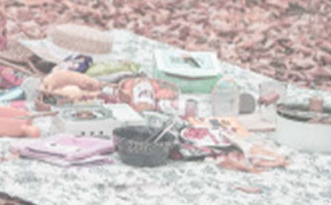 一次野餐的作文