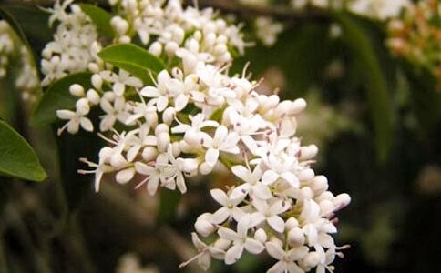 �����]��ҹ��������