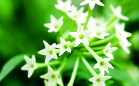 [��(sh��)��]ҹ��������14ƪ