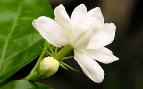 ҹ��(l��i)������[��Ʒ14ƪ]