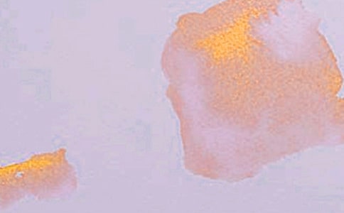 有關(guān)藝術(shù)節(jié)的作文