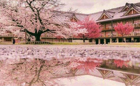 �ѻ���Ԋ��15ƪ