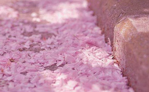 �Ϻ��ѻ���(ji��)�p�ѹ���