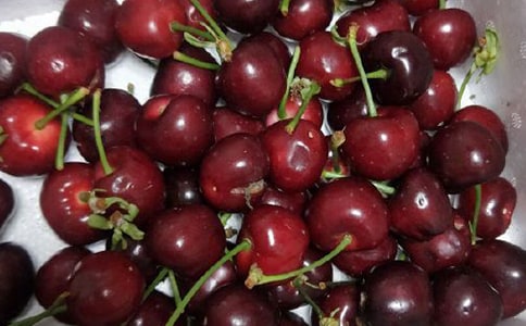 ժ�������ģ���(j��ng)��14ƪ��