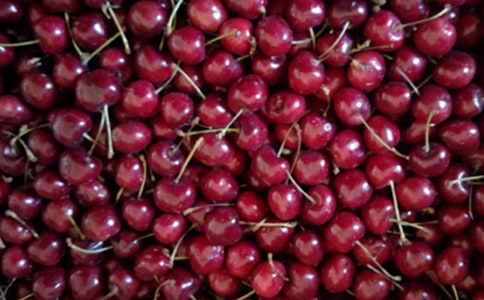 �����ҜϵĴ��졷�x���