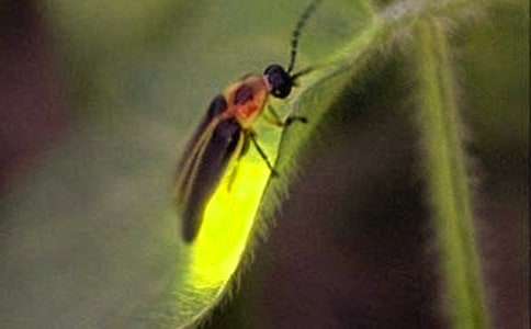 ׽Ξ���x���ı؂�(12ƪ)