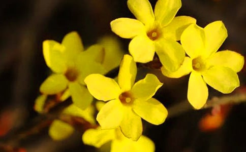 ӭ�������ģ����x57ƪ��