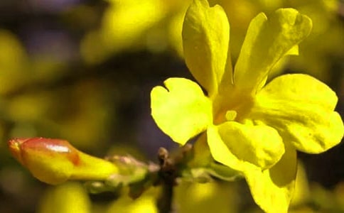 �����T(m��n)��ӭ��������