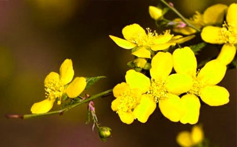 [���x]ӭ��������15ƪ