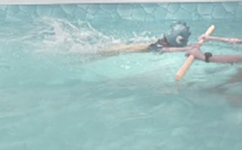 �W��Ӿ���ġ���15ƪ��