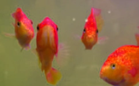 �~��N�a(b��)�N��Ո(q��ng)��