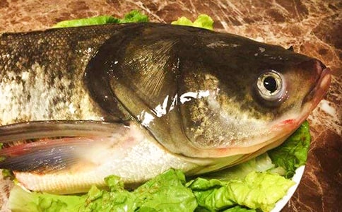 ����������ζ�İ��}���~�^����