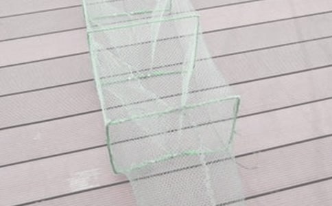 �y���ĝO�W(w��ng)����